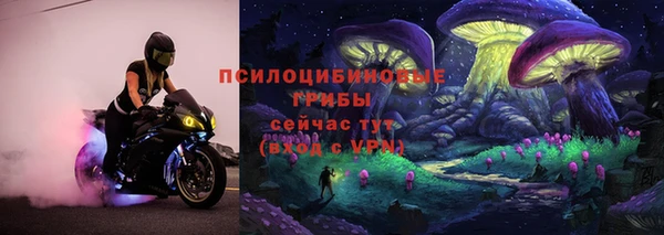 мяу мяу мука Абаза