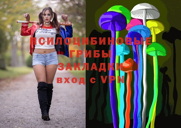 мяу мяу мука Абаза