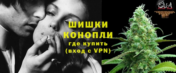 мяу мяу мука Абаза