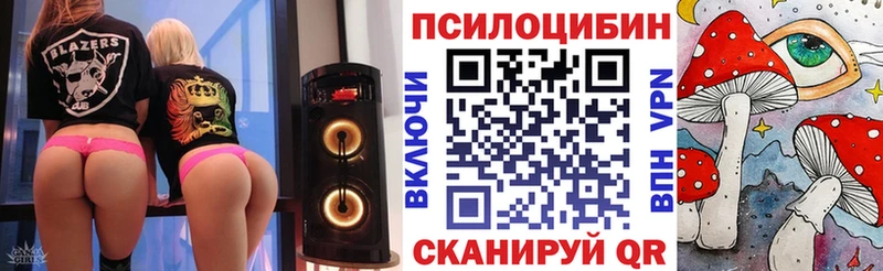 Галлюциногенные грибы Psilocybine cubensis  Невельск 